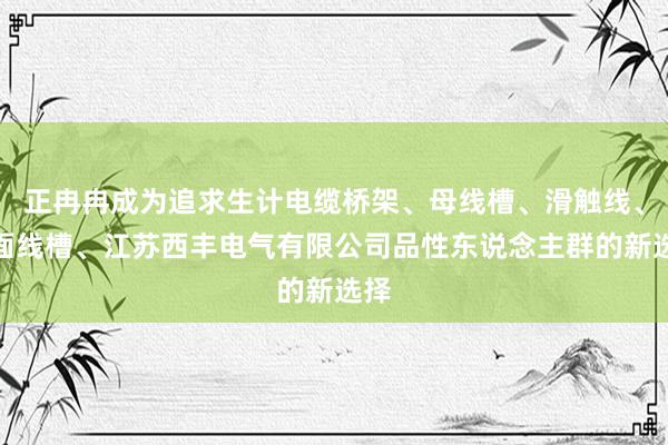正冉冉成为追求生计电缆桥架、母线槽、滑触线、地面线槽、江苏西丰电气有限公司品性东说念主群的新选择