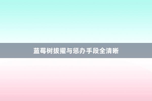 蓝莓树拔擢与惩办手段全清晰