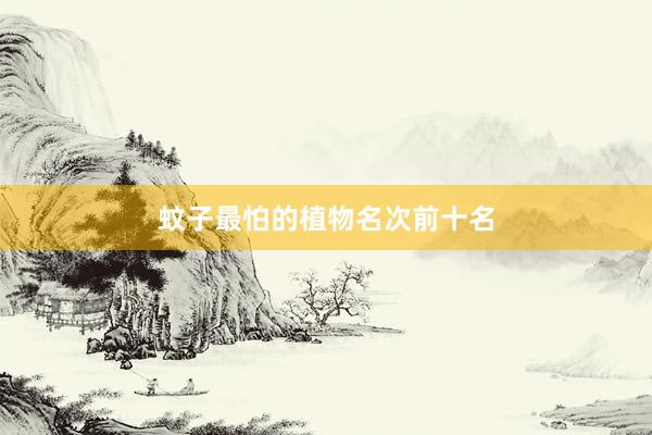 蚊子最怕的植物名次前十名