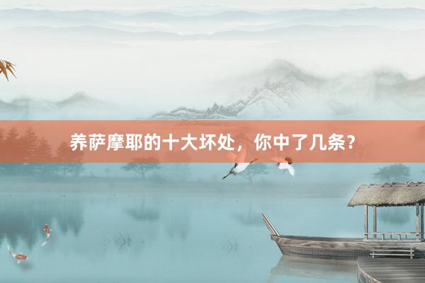 养萨摩耶的十大坏处，你中了几条？