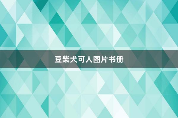 豆柴犬可人图片书册